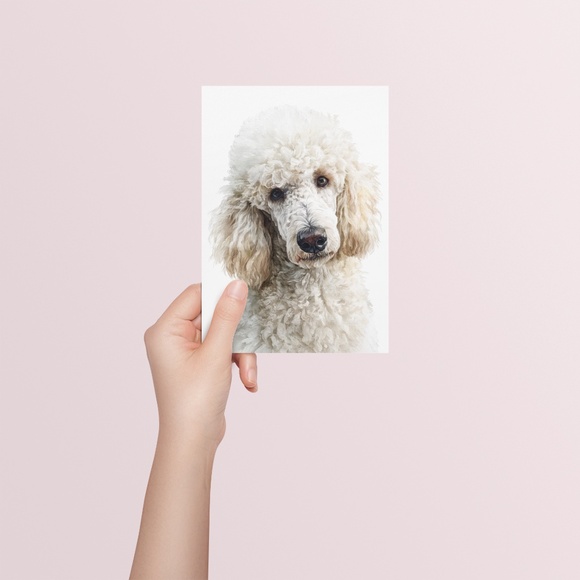 Watercolor Standard White Poodle Wall Art Print Unframed - Elegant Canine Poster - Picture 5 of 7